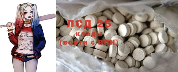 PSILOCYBIN Горнозаводск