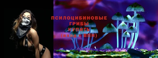 ALPHA PVP Вяземский