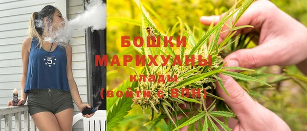 ALPHA PVP Вяземский