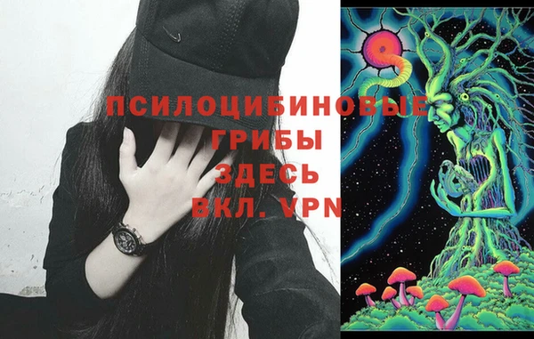 PSILOCYBIN Горнозаводск