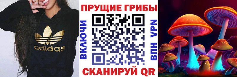 мега ТОР где найти Еманжелинск Галлюциногенные грибы Magic Shrooms